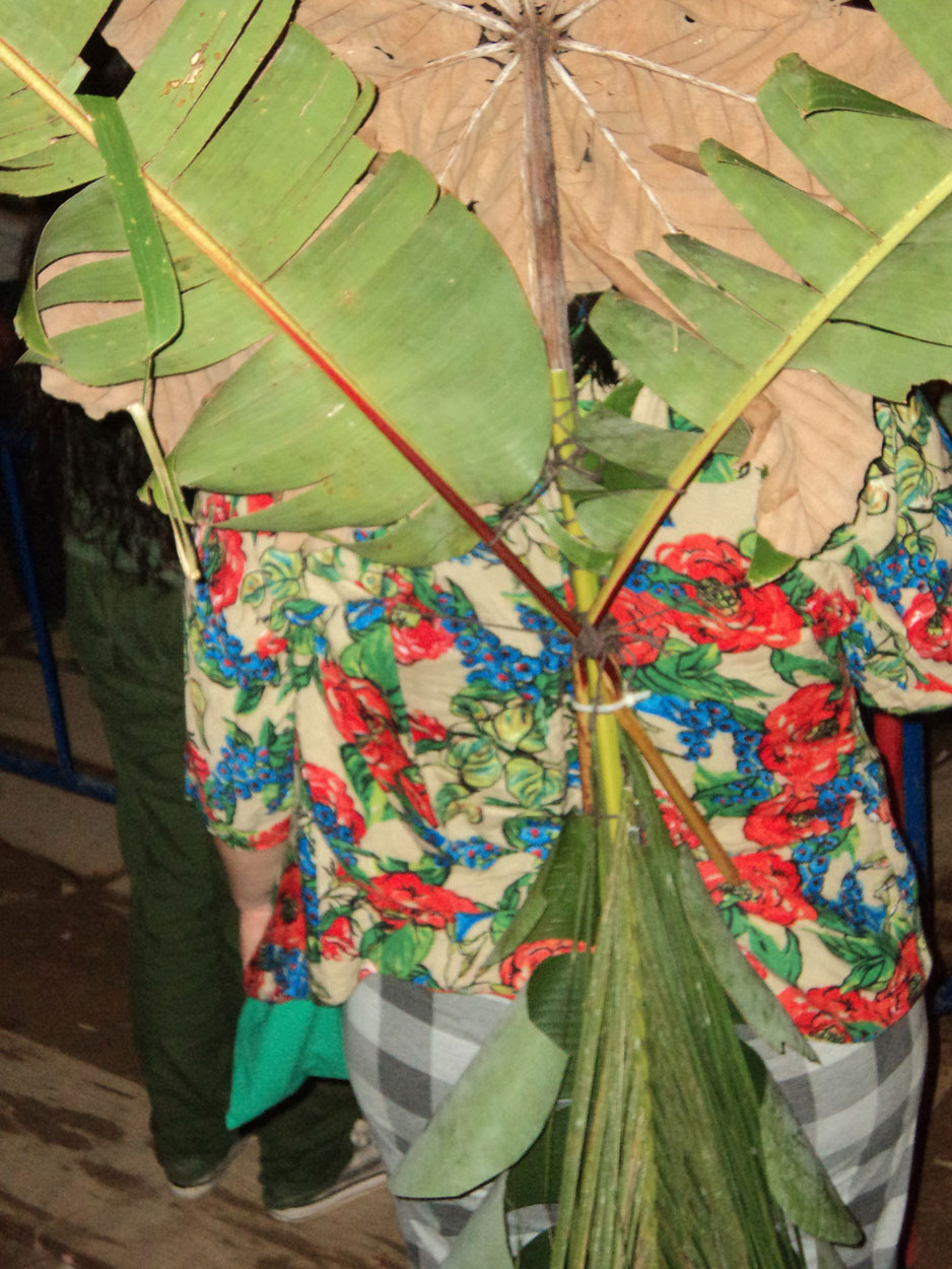 2016-02-08/09 Carneval de Galdi (Foto)